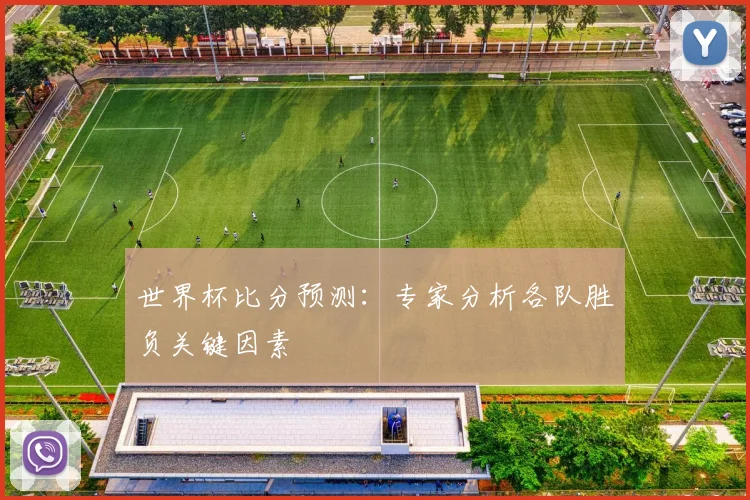 世界杯比分预测：专家分析各队胜负关键因素