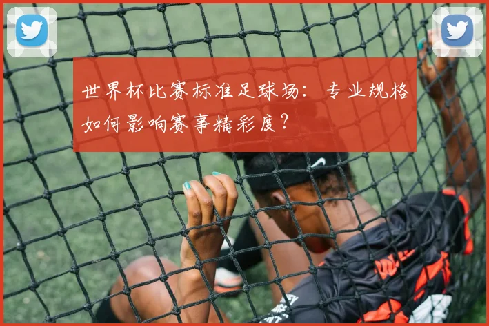 世界杯比赛标准足球场：专业规格如何影响赛事精彩度？