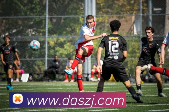 九州体育平台生态图